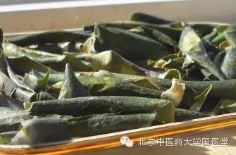 【医理讲堂】地道药材