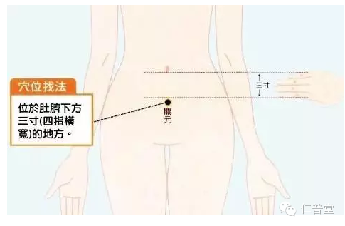 快速补肾的穴位