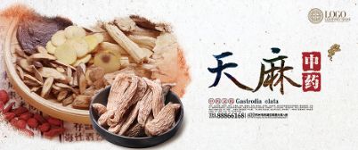来认识一种中药【天麻】