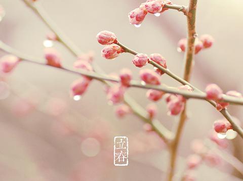 中医治疗咽喉炎的五大方法
